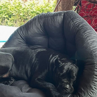 Купить кресло для чтения книг в интернет-магазине. Отзыв о качестве с фото. Рейтинг 5 звезд.